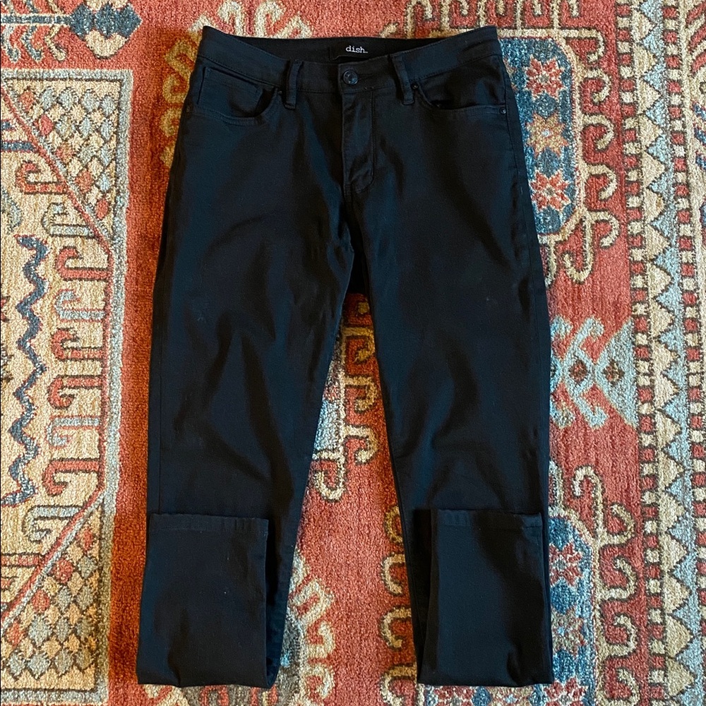 Dish Canadian Skinny Pants Sz 28/28